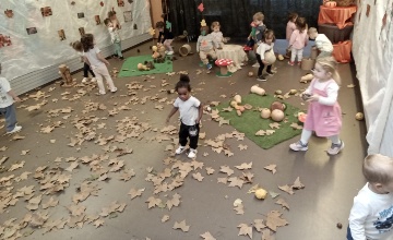 foto de todos los niveles