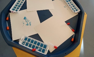 foto de todos los niveles