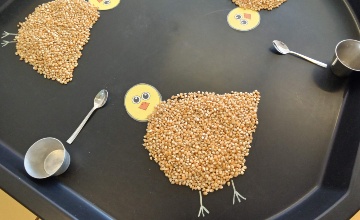 foto de todos los niveles