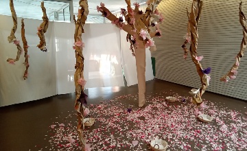 foto de todos los niveles