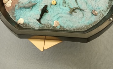 foto de todos los niveles