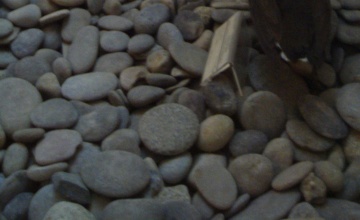 Monumentos - palacio montcada 3 foto de Monumentos - palacio montcada 3