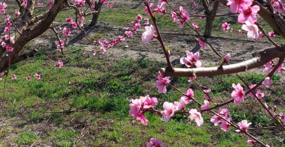 foto de boton destacado descubrirla